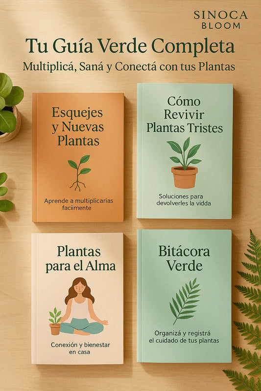 Tu Guía Verde Completa  💚
